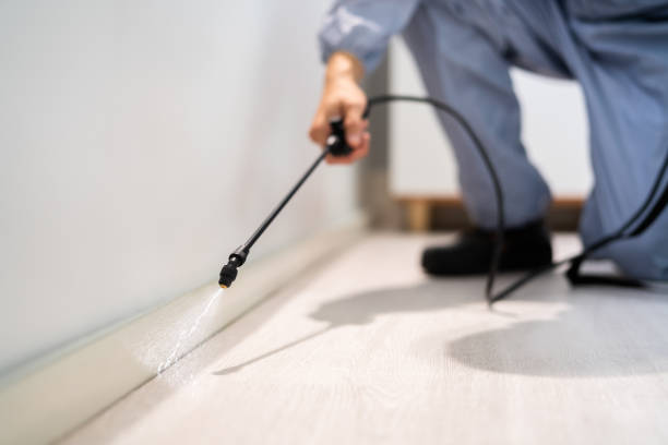 Licensed Rodent Control service in Effingham County County, IL - Nex Pest Control