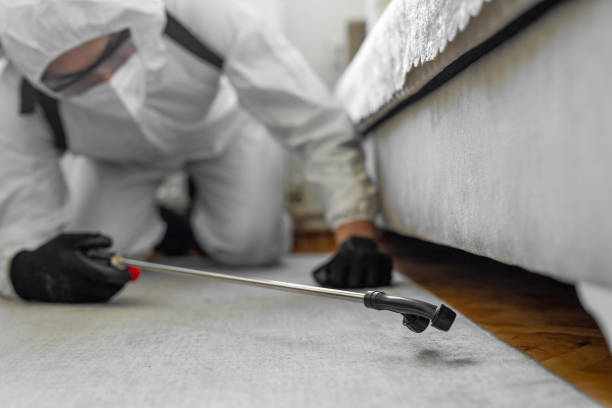 Professional Rodent Control technician working in Effingham County County, IL